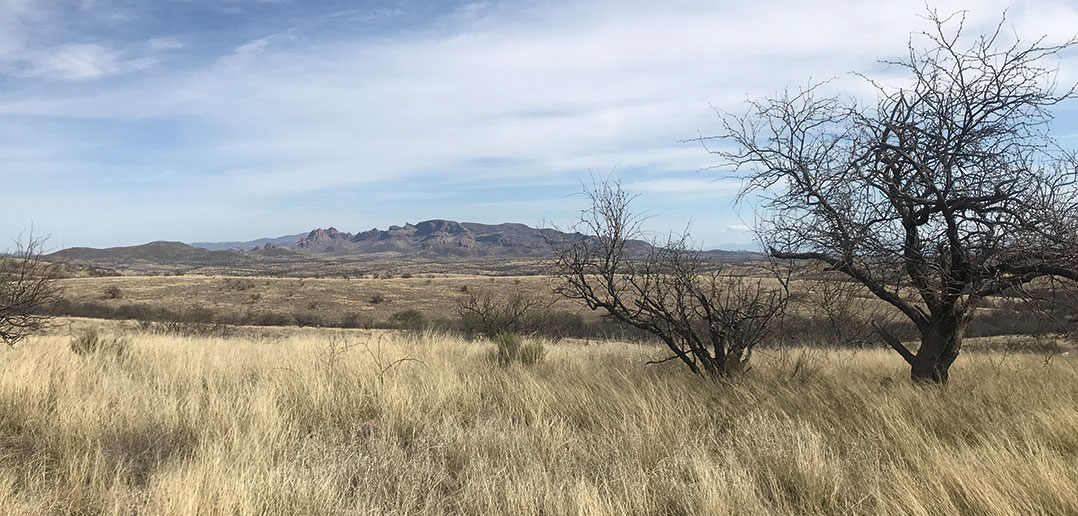 At the Border: Bearing Witness to the Humanitarian Crisis Where