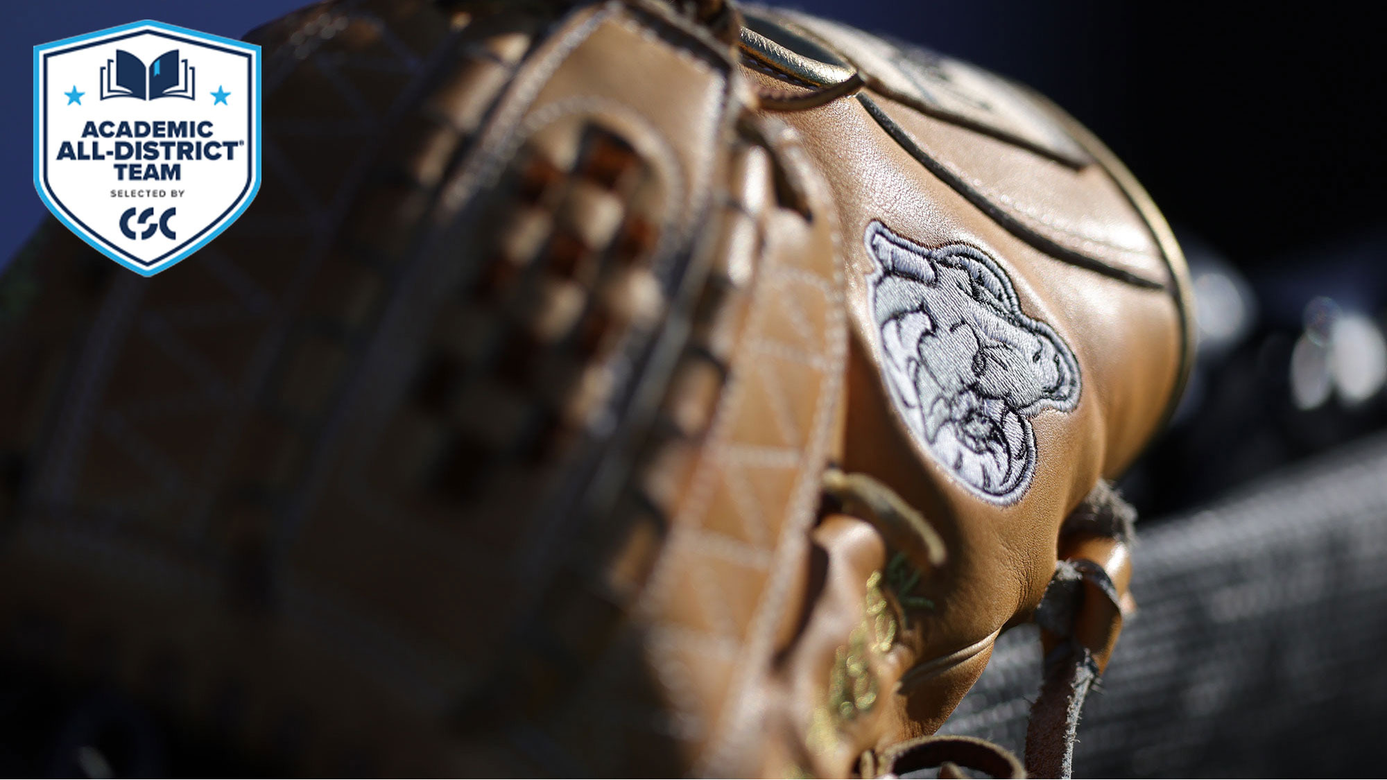 Five Baseball Rams Receive CSC Academic AllDistrict Honors
