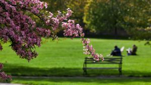 Fordham Poets Society: Haiku from Our Community 
