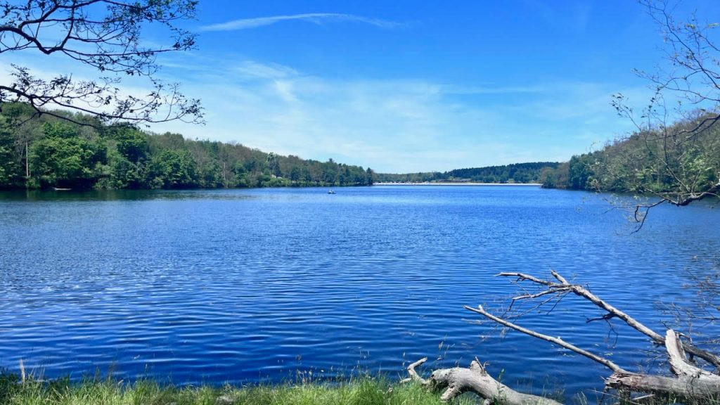 Summer Reset: 5 Ways Faculty and Staff Practice Self-Care