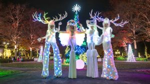 5 Things to Do in NYC | December