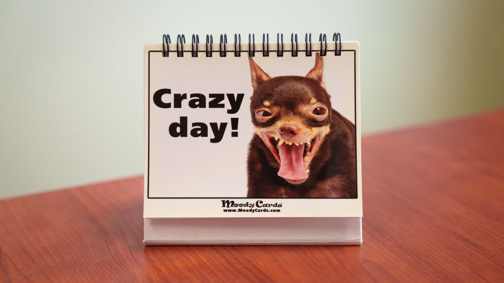 A picture of a dog next to the words "Crazy day!"