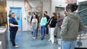 Gabelli School Students Lend a Hand to Furry Friends