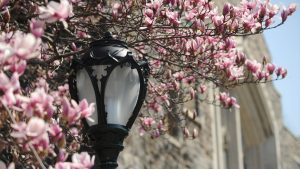 New Hires and Promotions at Fordham | January 13 to April 26, 2026