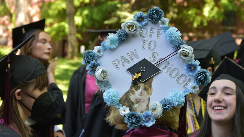 Commencement cap reading "Off to paw school," with a photo of a cat