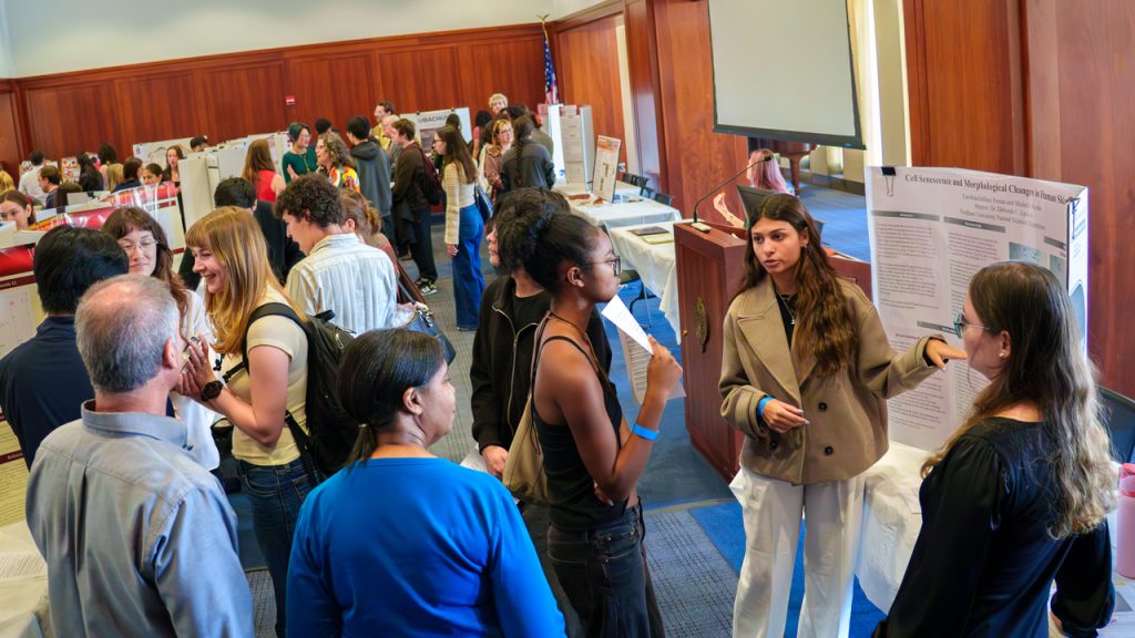 A group of students presenting research on poster boards in a conference room at Fordham's Lincoln Center campus.
