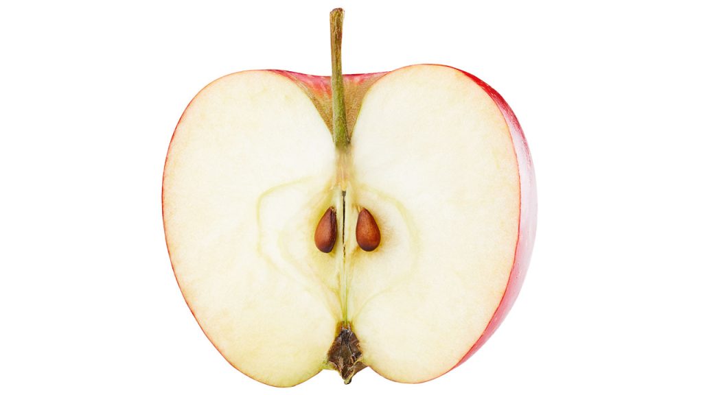 An apple sliced in half with the stem and two seeds at the core