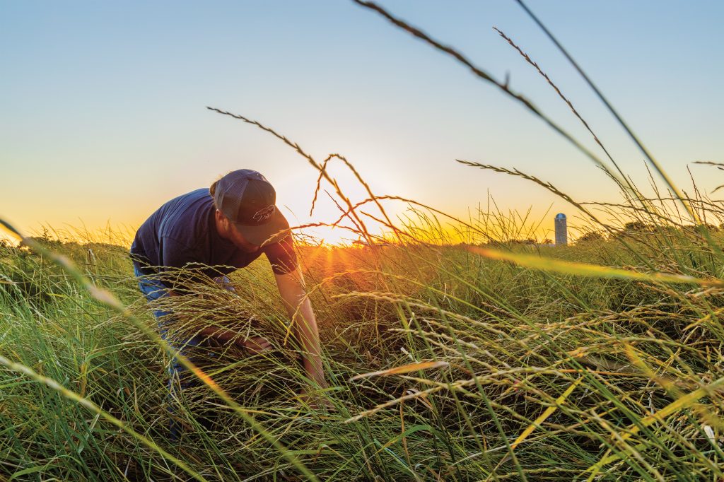 James Bowden of the Land Institute in Salina, Kansas, tends a field of Kernza, a type of regenerative organic wheatgrass Patagonia Provisions uses in its food products. Photo by Amy Kumler