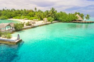 Variety: Love Island USA Fans Create ‘An Entirely New Show’ on TikTok, says Fordham Professor